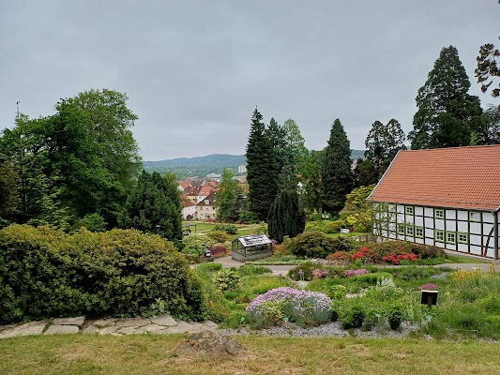 Botanischer garten image 2