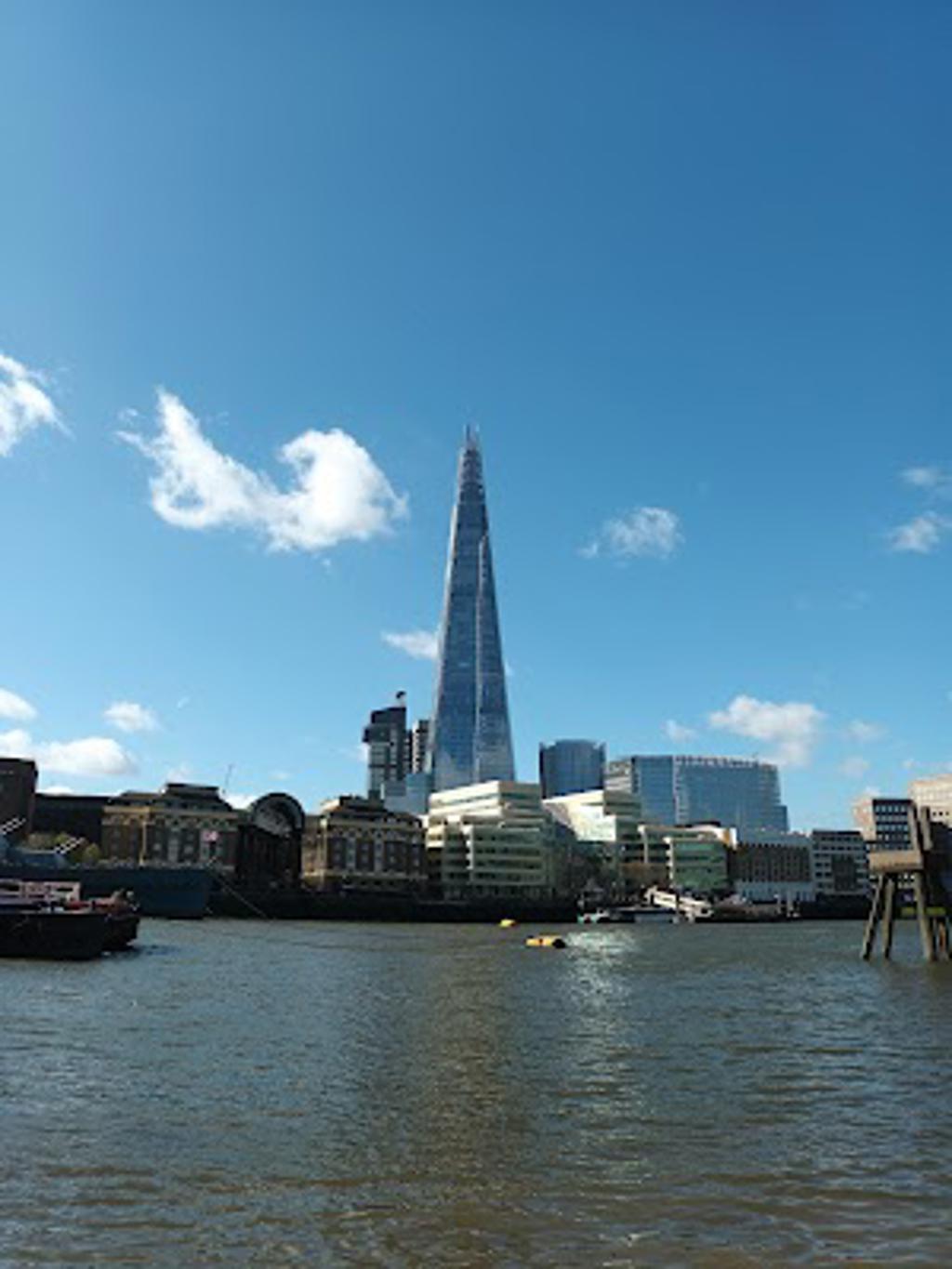 Thames River Perch image 2