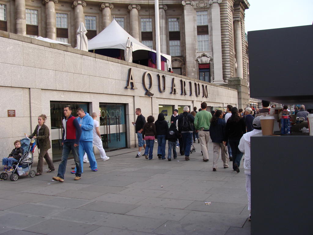 London aquarium image 1