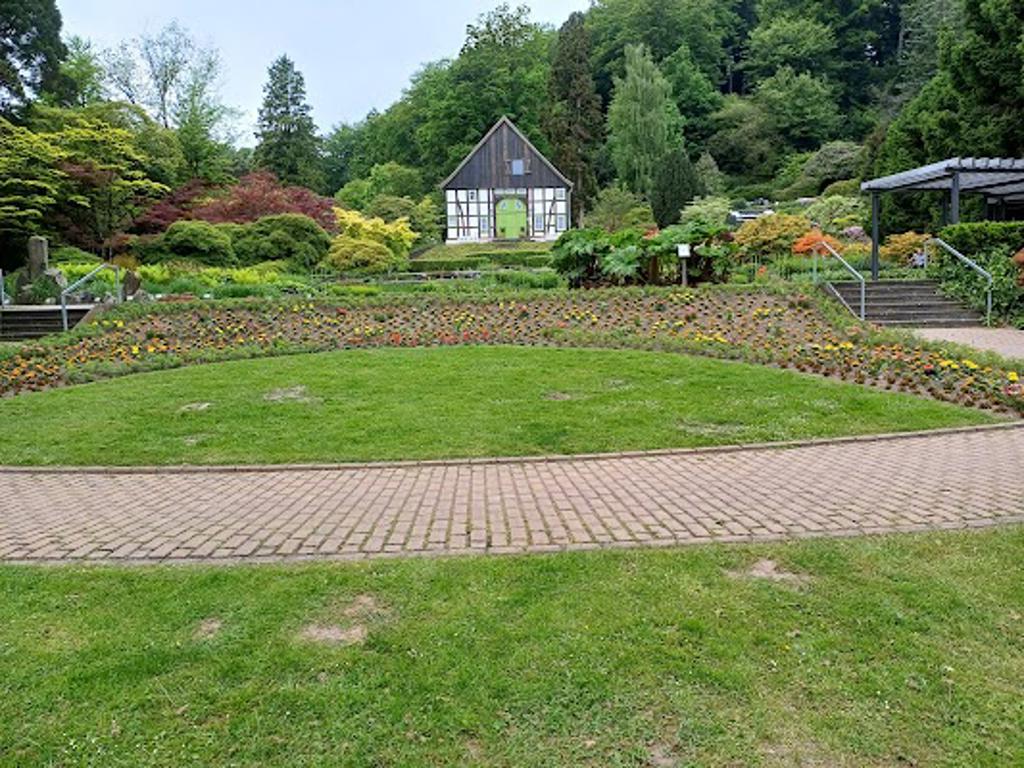 Botanischer garten image 3