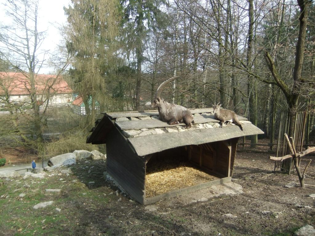 Heimat-tierpark olderdissen - Must-see in Bielefeld, Germany